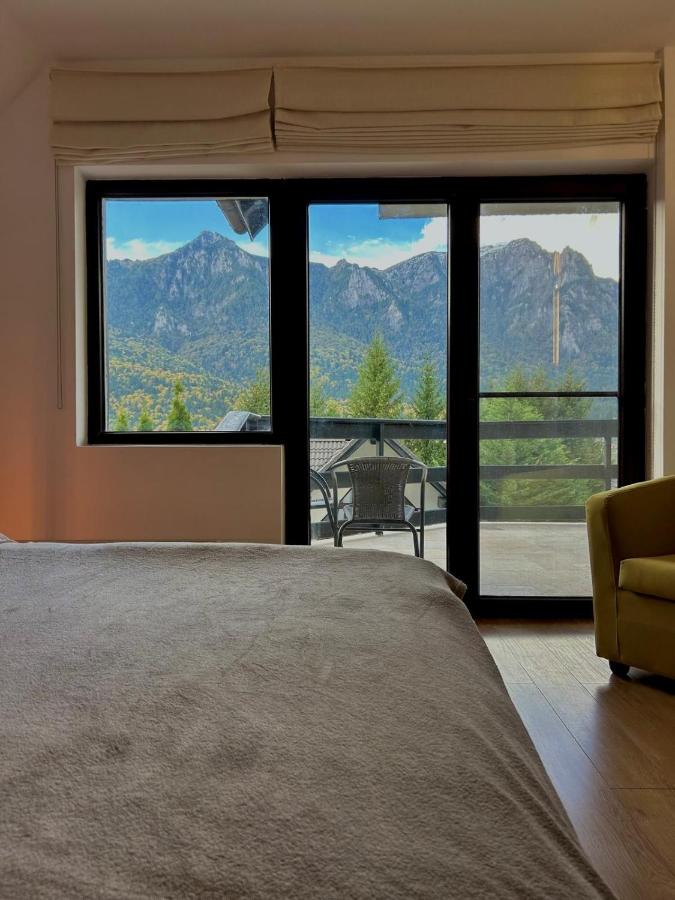 Dormitor cu ușă glisantă spre balcon și vedere la Bucegi